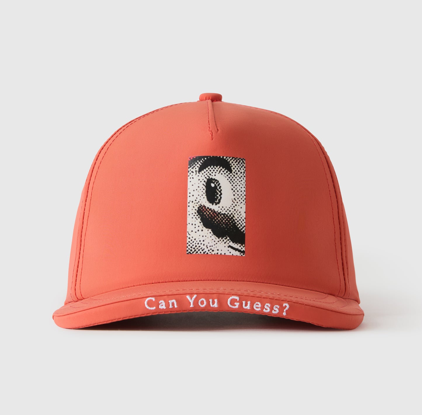 Can You Guess? Hat