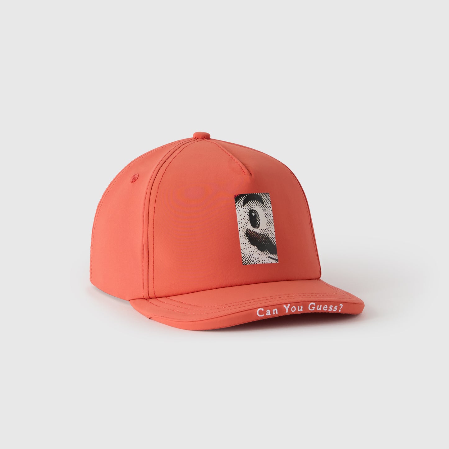 Can You Guess? Hat
