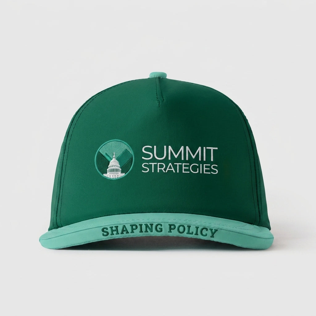 SUMMIT STRATEGIES GOVERNMENT AFFAIRS LLC - SHAPING POLICY