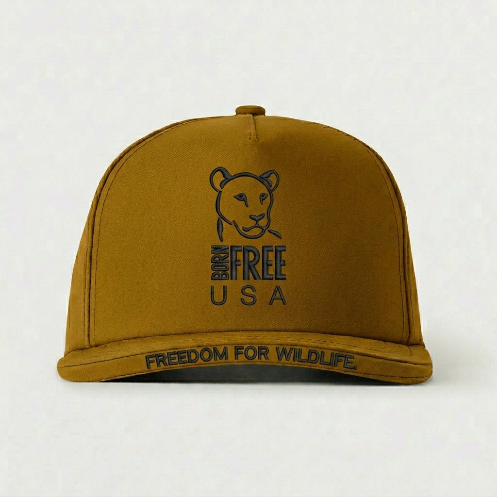 BORN FREE USA - FREEDOM FOR WILDLIFE.