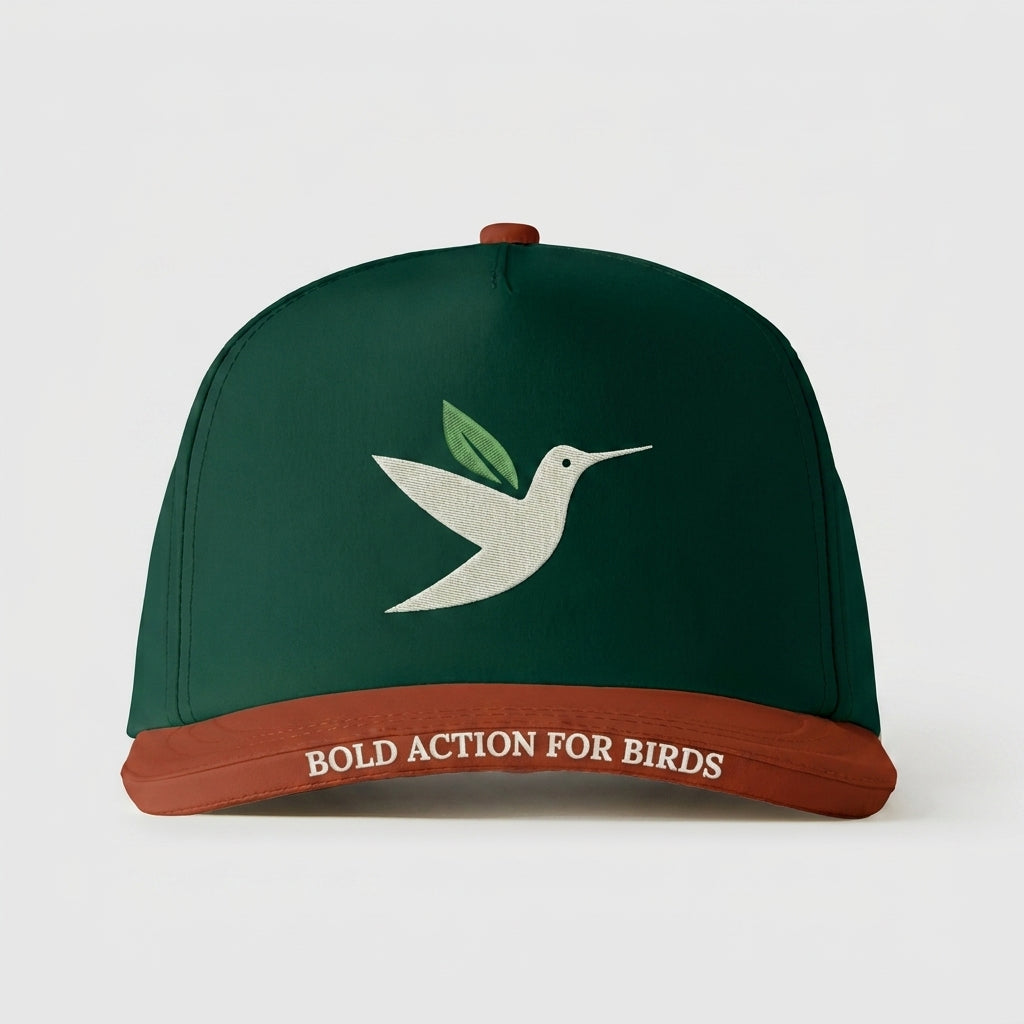 AMERICAN BIRD CONSERVANCY - BOLD ACTION FOR BIRDS