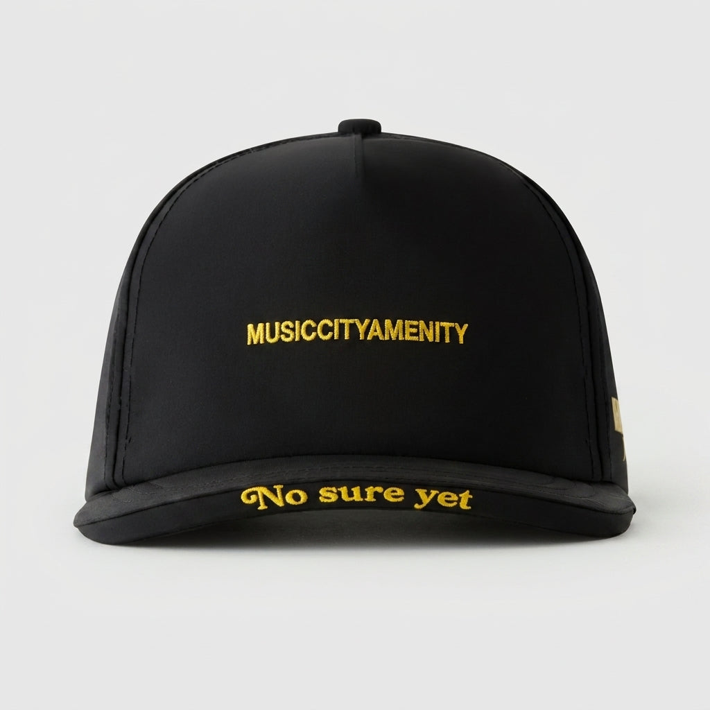 MUSICCITYAMENITY - NO SURE YET