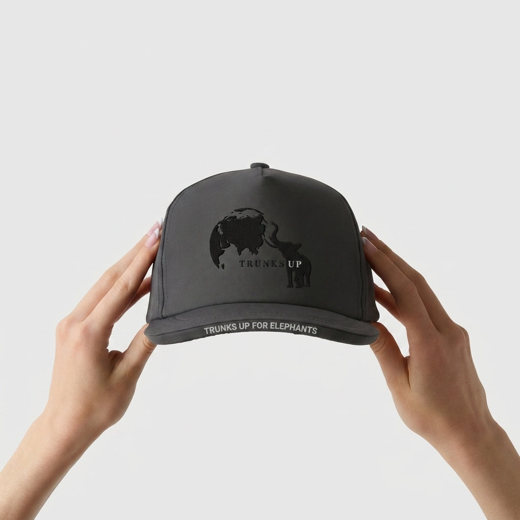 ABRAHAM FOUNDATION | TRUNKS UP - TRUNKS UP FOR ELEPHANTS