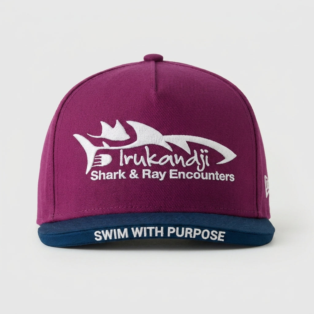 IRUKANDJI SHARK & RAY ENCOUNTERS - SWIM WITH PURPOSE
