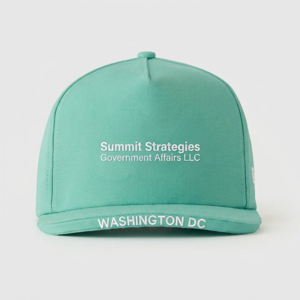 SUMMIT STRATEGIES GOVERNMENT AFFAIRS LLC - WASHINGTON DC