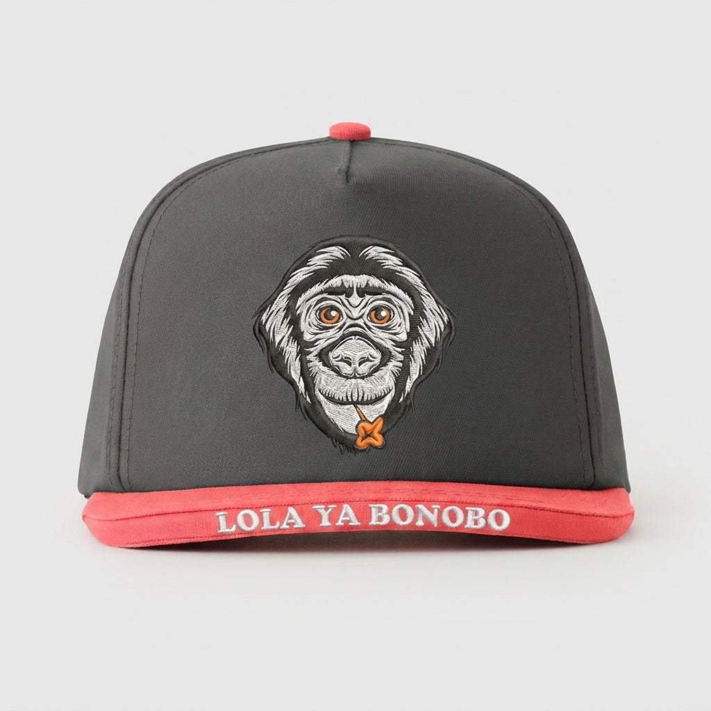 FRIENDS OF BONOBOS - LOLA YA BONOBO