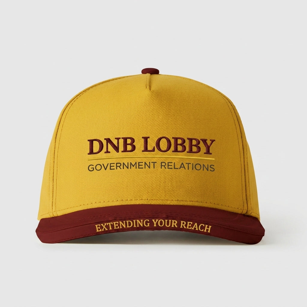 DNB LOBBY - GOVERNMENT RELATIONS - EXTENDING YOUR REACH