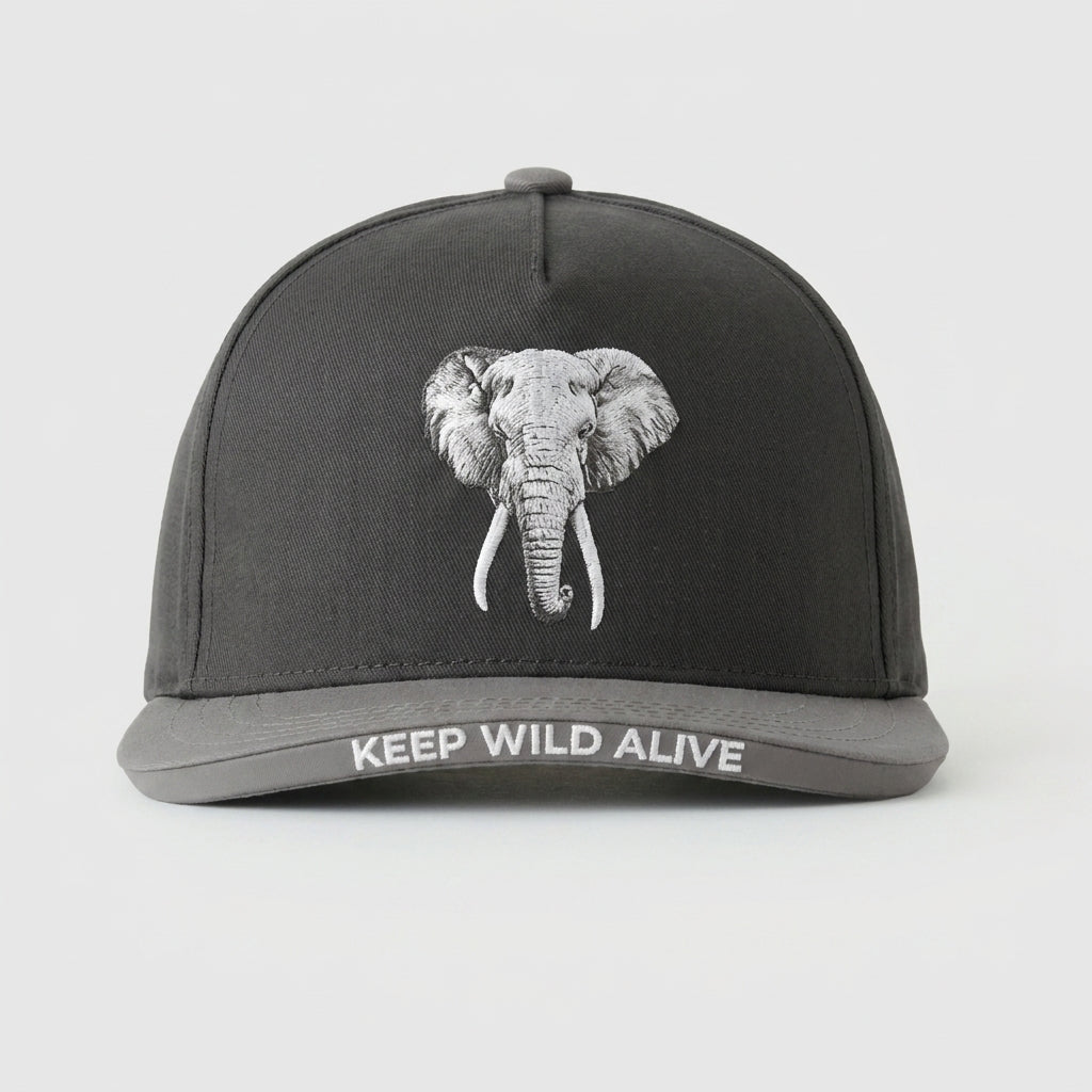 BIG LIFE FOUNDATION - KEEP WILD ALIVE