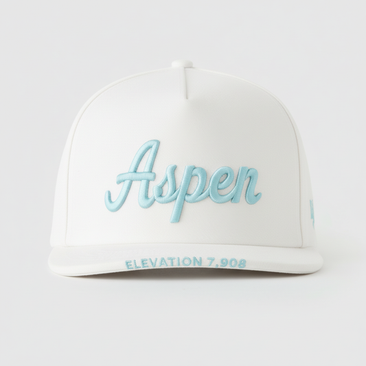 ASPEN - ELEVATION - ICY BLUE ON WHITE