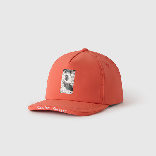 Can You Guess? Hat