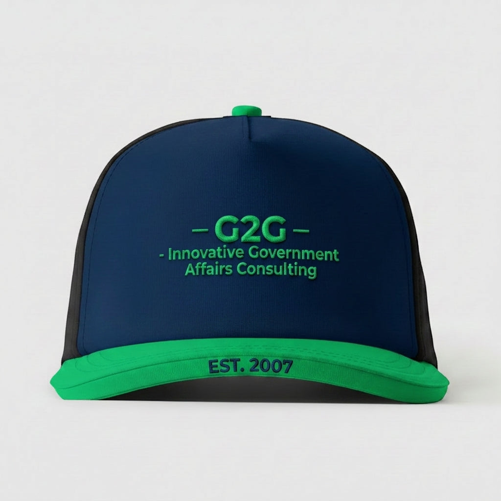 G2G - INNOVATIVE GOVERNMENT AFFAIRS CONSULTING - EST. 2007