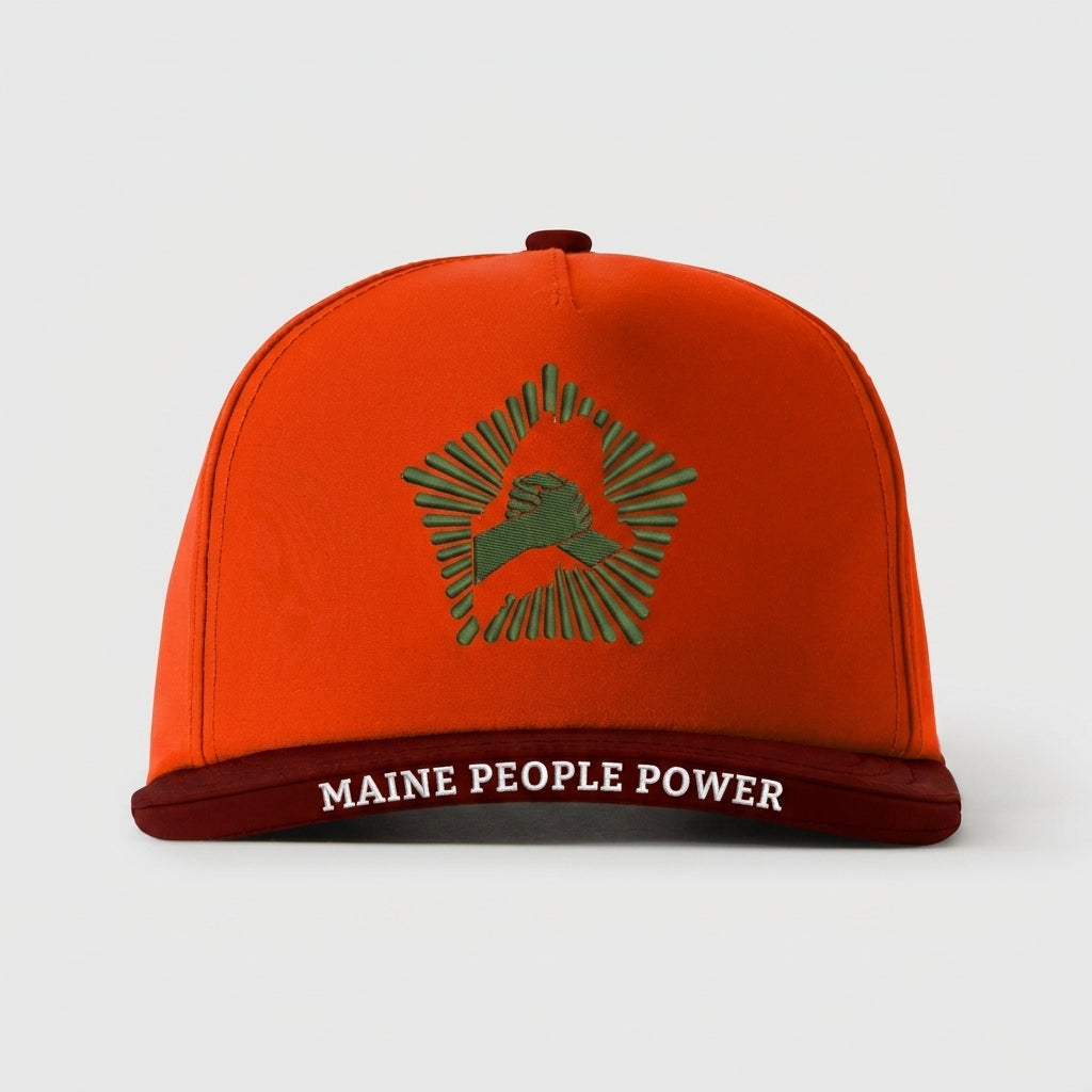 MAINE PEOPLE'S ALLIANCE - MAINE PEOPLE POWER
