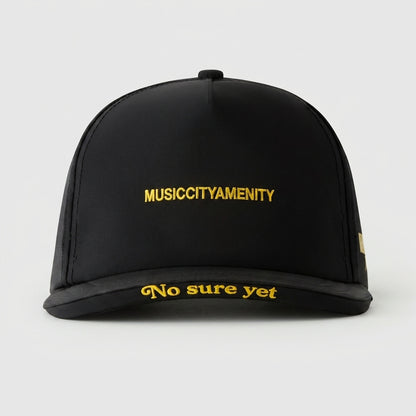 MUSICCITYAMENITY - NO SURE YET