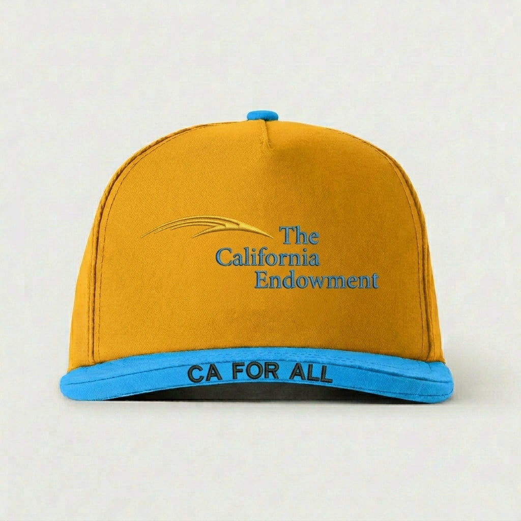 THE CALIFORNIA ENDOWMENT - CA FOR ALL