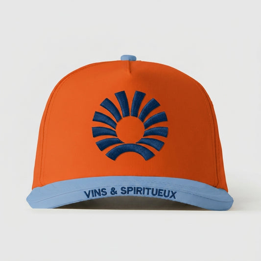 PERNOD RICARD - VINS & SPIRITUEUX