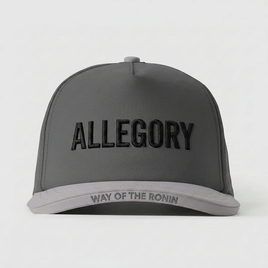 ALLEGORY HOUSE - WAY OF THE RONIN