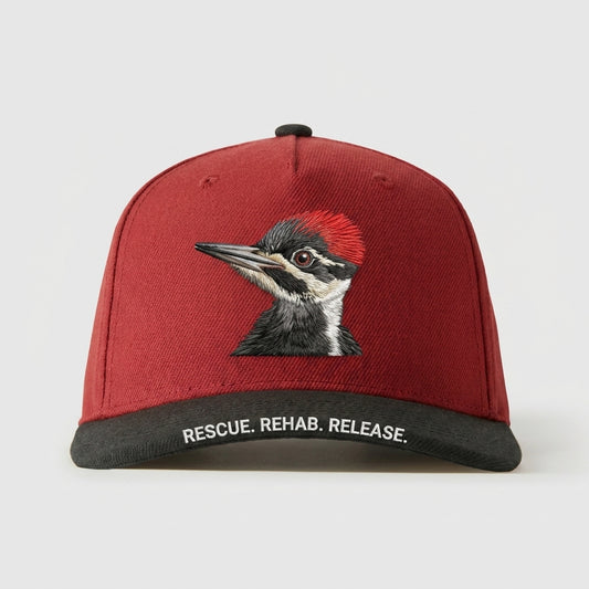 SOUTHWEST VIRGINIA WILDLIFE CENTER INC - RESCUE. REHAB. RELEASE.