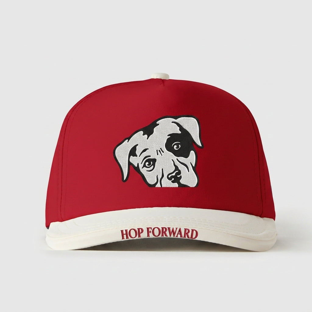 LAGUNITAS BREWING COMPANY - HOP FORWARD