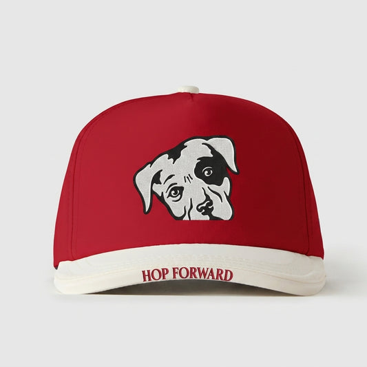 LAGUNITAS BREWING COMPANY - HOP FORWARD