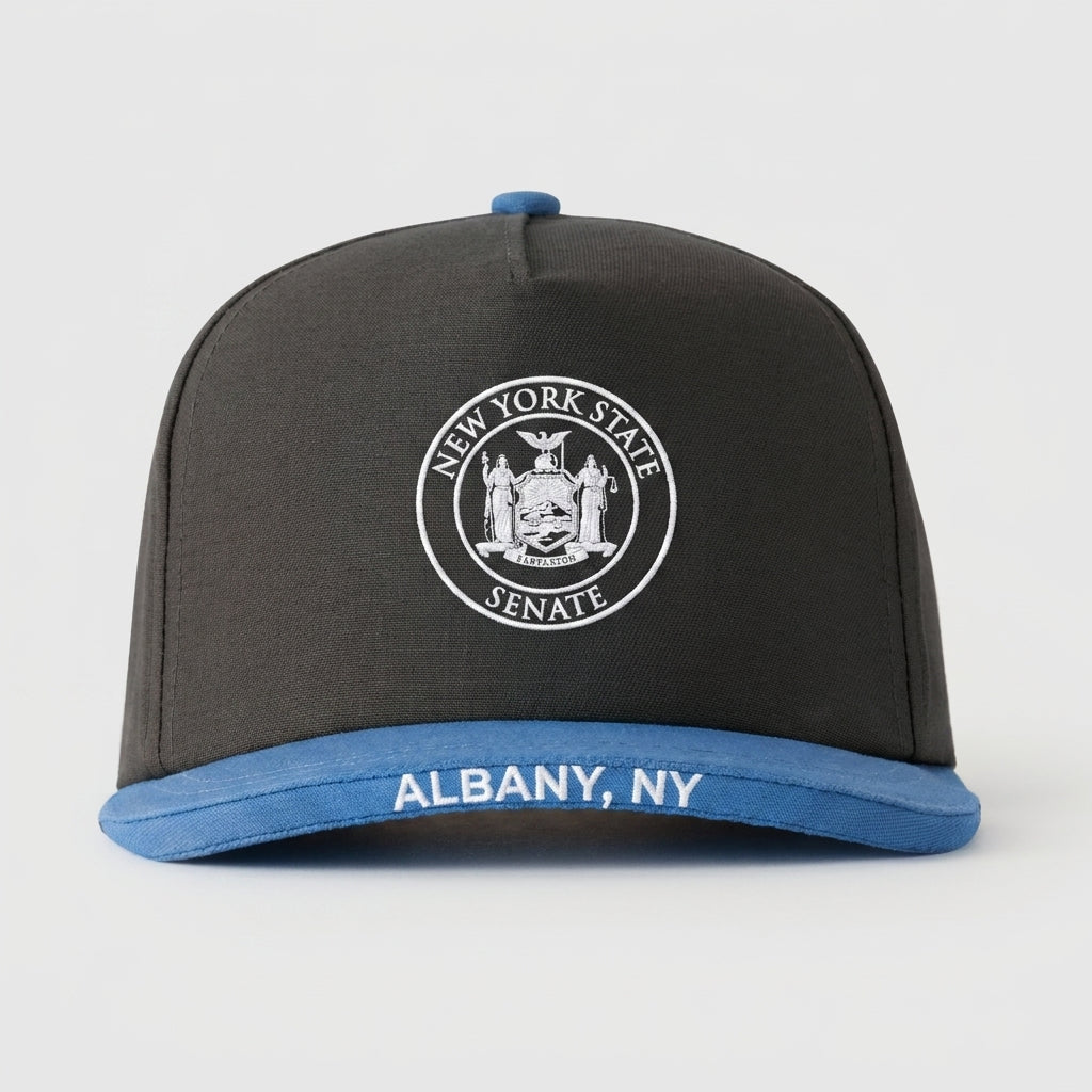 NEW YORK STATE SENATE - ALBANY, NY