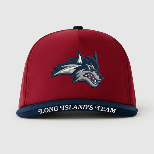 STONY BROOK ATHLETICS - LONG ISLAND'S TEAM