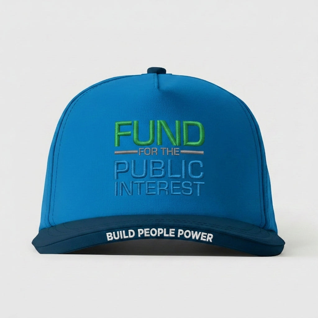 FUND FOR THE PUBLIC INTEREST - BUILD PEOPLE POWER