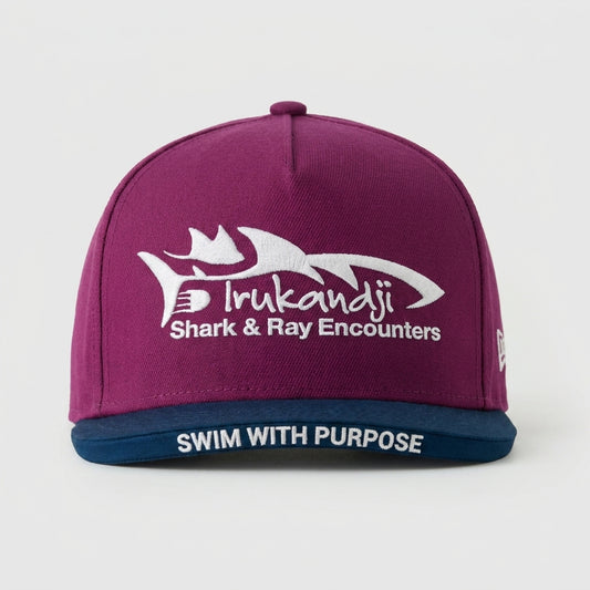 IRUKANDJI SHARK & RAY ENCOUNTERS - SWIM WITH PURPOSE