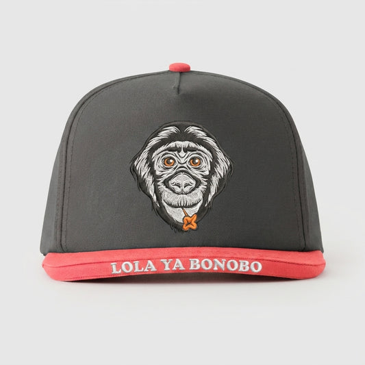 FRIENDS OF BONOBOS - LOLA YA BONOBO