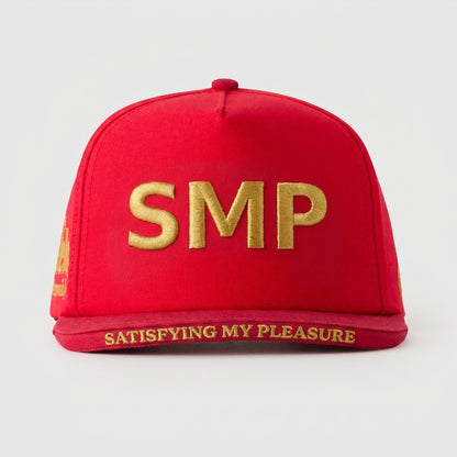 SEXMONEYPOLITICS - SATISFYING MY PLEASURE