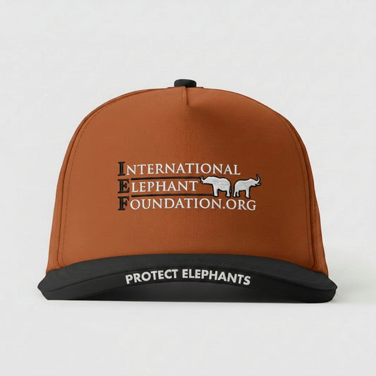 INTERNATIONAL ELEPHANT FOUNDATION - PROTECT ELEPHANTS