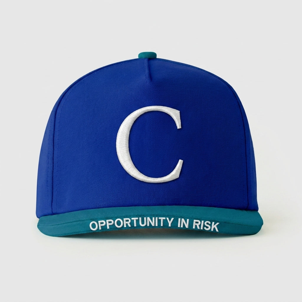 CLYDE - OPPORTUNITY IN RISK