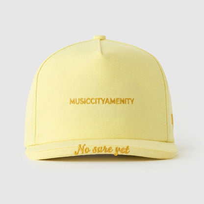 MUSICCITYAMENITY - NO SURE YET