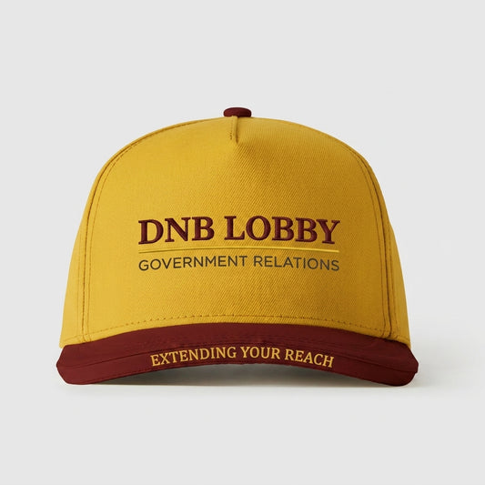 DNB LOBBY - GOVERNMENT RELATIONS - EXTENDING YOUR REACH