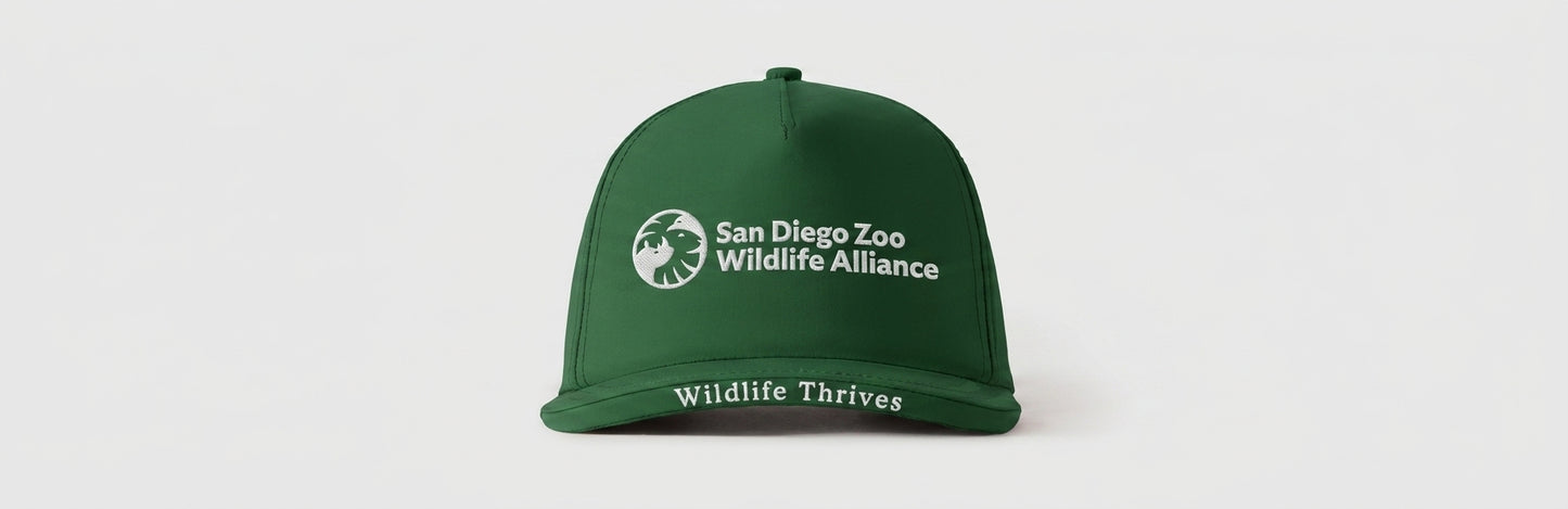 SAN DIEGO ZOO WILDLIFE ALLIANCE - WILDLIFE THRIVES