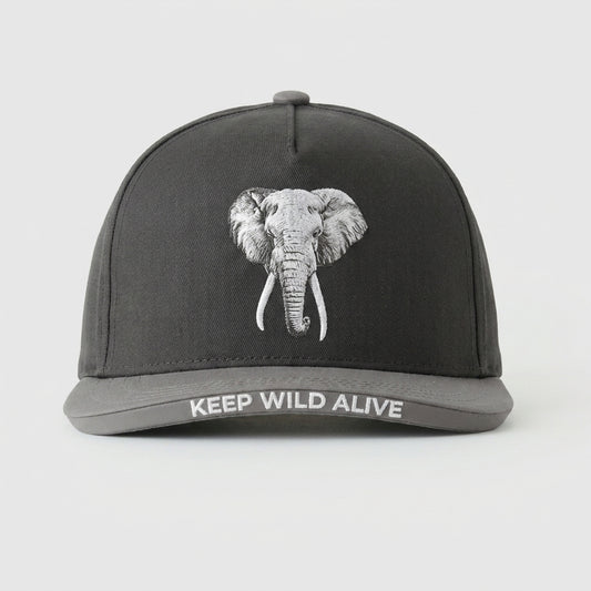 BIG LIFE FOUNDATION - KEEP WILD ALIVE