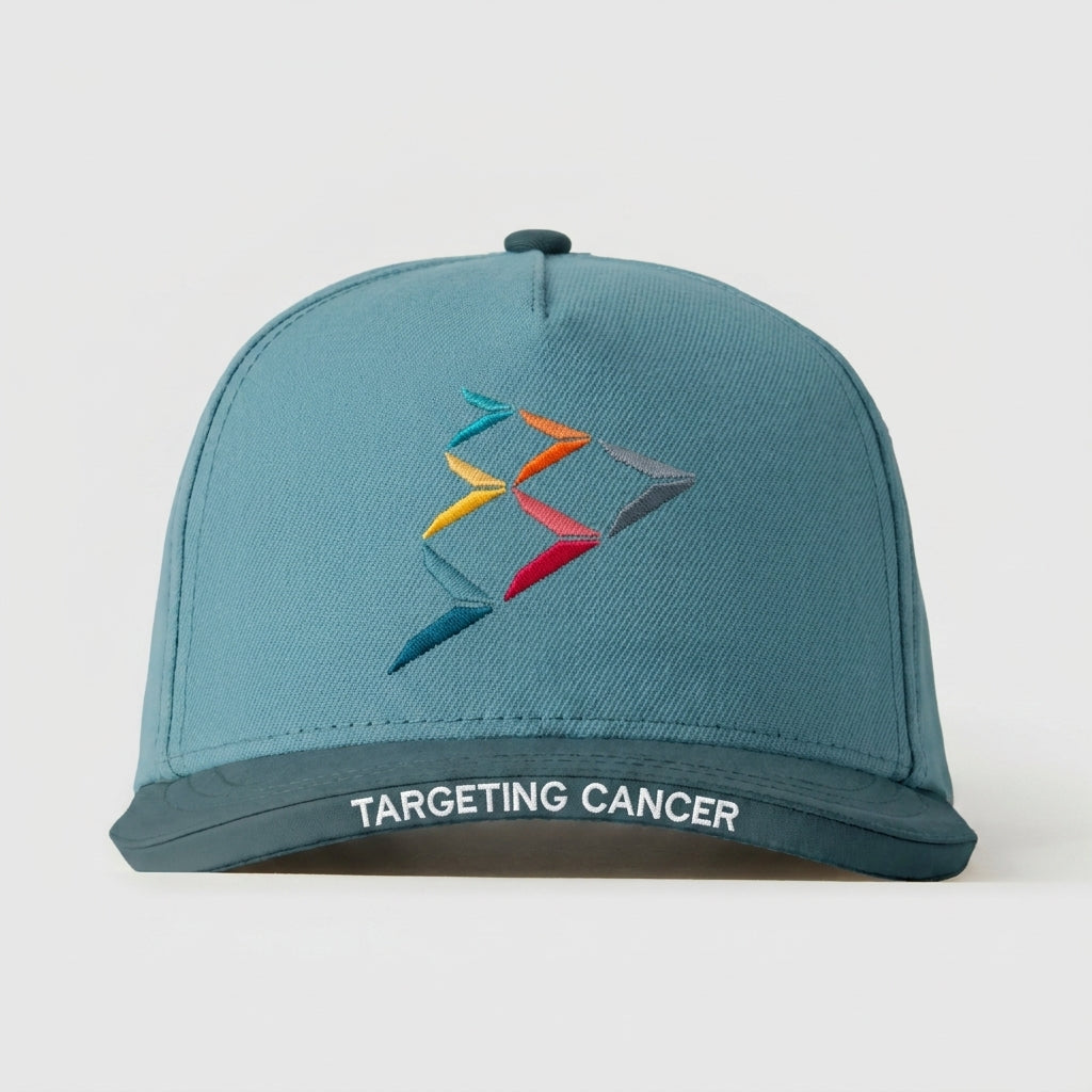 SYNDAX PHARMACEUTICALS - TARGETING CANCER
