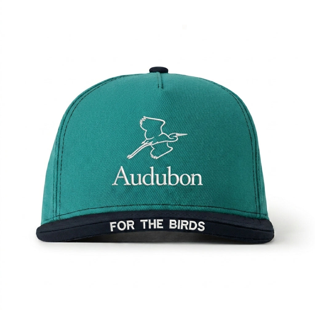 NATIONAL AUDUBON SOCIETY - FOR THE BIRDS