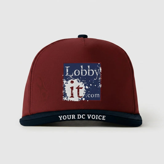 LOBBYIT - YOUR DC VOICE